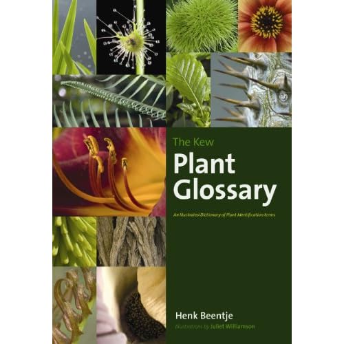 Plant Terms