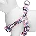 Blueberry Pet 2 Patterns Soft & Comfy Step-in Rose Flower Prints Girly Padded Dog Harness, Chest Girth 19.5
