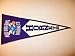 New Orleans Hornets NBA Classic Basketball Pennant