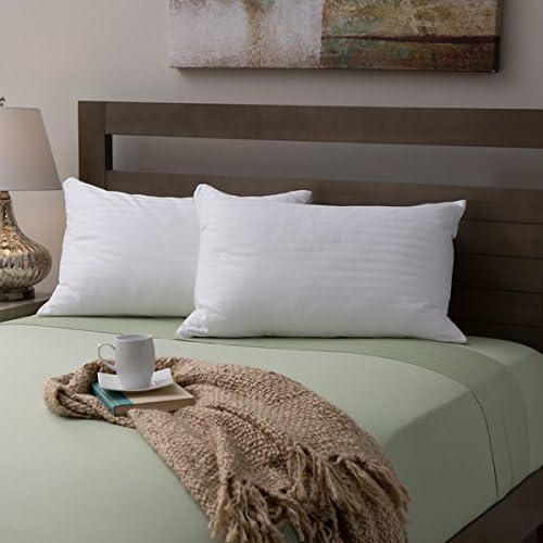 Allergy Free 400 Thread Count 100% Corded Cotton Zippered Pillow Protectors (2 Per Pack) (Queen (20" x 30"))