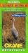 VHS : Audubon's Animal Adventures: Crane