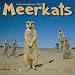 Search : 2009 Meerkats Wall Calendar