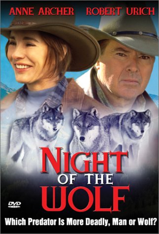 Cover image : Night of Wolf [DVD] [Import]