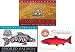 Kitchen & Housewares : 3 - Pk. Alaska Smokehouse® Jumbo Smoked Salmon