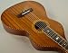 NEW GOLD TONE HAWAIIAN WEISSENBORN STEEL 6-STRING ACOUSTIC LAP DOBRO GUITAR image 7
