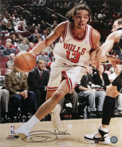 Joakim Noah Chicago Bulls - Action - Autographed 16x20 Photograph