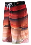 Speedo Men's Solar Wave Eboard Print Water Short