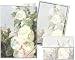 Hollyhock - Stationery Gift Set (20 sheets and 12 envelopes)