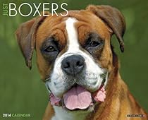Just Boxers 2014 Wall Calendar Just Boxers 2014 Wall Calendar