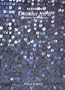 Outsider Art II: Visionary Environments (Art Random) (v. 2)