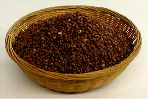 Organic Sprouting Seeds Radish Mix 16 Ounces by The Sprout House