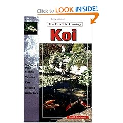 The Guide to Owning Koi