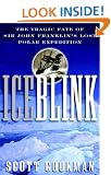 Ice Blink: The Tragic Fate of Sir John Franklin's Lost Polar Expedition