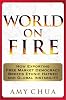 World on Fire: How Exporting Free Market Democracy Breeds Ethnic Hatred and Global Instability