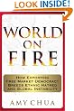 World on Fire: How Exporting Free Market Democracy Breeds Ethnic Hatred and Global Instability