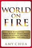 World on Fire: How Exporting Free Market Democracy Breeds Ethnic Hatred and Global Instability