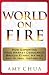 World on Fire: How Exporting Free Market Democracy Breeds Ethnic Hatred and Global Instability