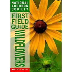 Wildflowers (National Audubon Society First Field Guide)