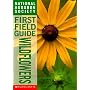 Wildflowers (National Audubon Society First Field Guide)