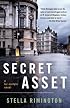 Secret Asset (Vintage Crime/Black Lizard)