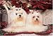   - 300 Piece Maltese Jigsaw Puzzle