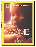 IN THE WOMB