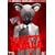 Executive Koala (DVD Special Edition)