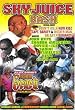 Sky Juice Bash and Pon de Beach 36