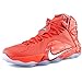Nike LeBron XII Men's Basketball Shoes