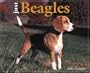 Just Beagles