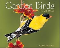 Garden Birds of North America 2006 Calendar