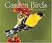 Book Garden Birds 2006 16-Month Wall Calendar