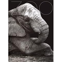 Zoo