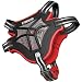 Brute ZerO-g Wrestling Ear Guard