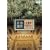 ���E��Y �X�y�C����2 [DVD]