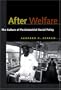 After Welfare: The Culture of Postindustrial Social Policy