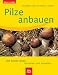 Pilze anbauen: Die besten Arte