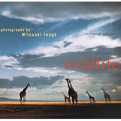 Wildlife