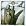 Three Days Grace