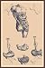 Art Poster, Stomach - 18.75 x 27.5