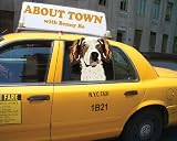 About Town with Benny Be