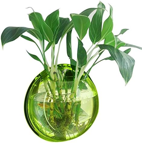 New Home Decoration Pot Plant Wall Mounted Hanging Bubble Bowl Fish Tank Aquarium "Green 15cm"Set01