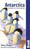 Antarctica Wildlife 5th (Bradt Guides)