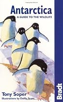 Antarctica Wildlife (Bradt Travel Guide)