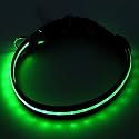 2-TECH LED Hundehalsband in GR&Uuml;N 2. Generation 50 cm 2,5cm breit - Halsumfang von 34 bis 50 cm