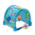 Fisher-Price Kick and Crawl Discovery Gym