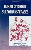 Human Cytosolic Sulfotransferases