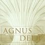 V 2: Agnus Dei