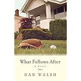 what follows after a novel