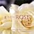 R is for Rose